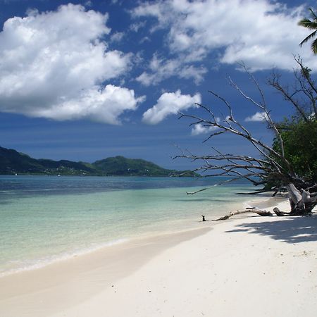 Fairytern Chalets Cerf Island Luaran gambar