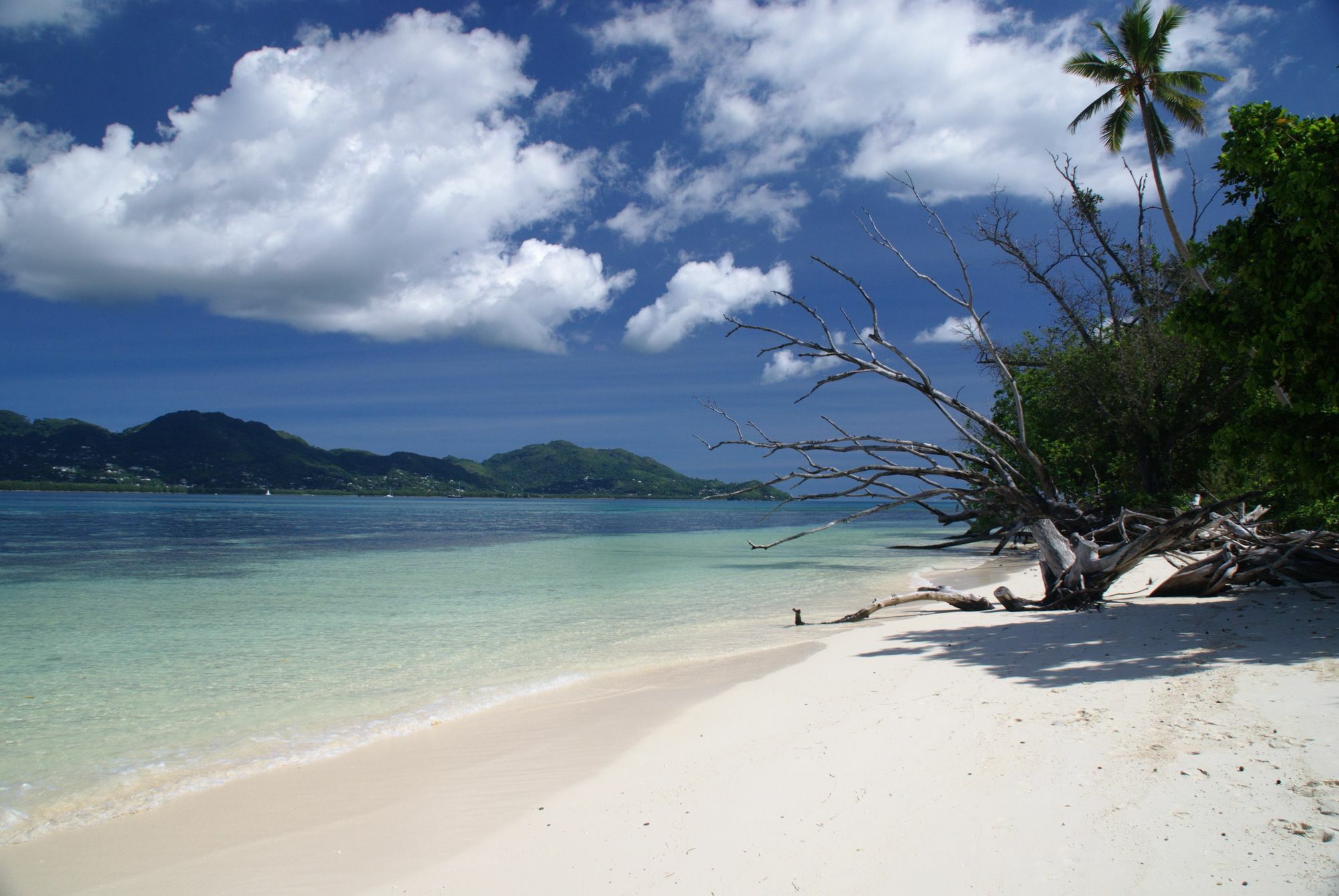 Fairytern Chalets Cerf Island Luaran gambar